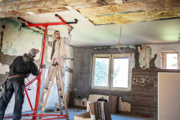 Best Geographic-Specific Insulation Services in Trinity, TX
