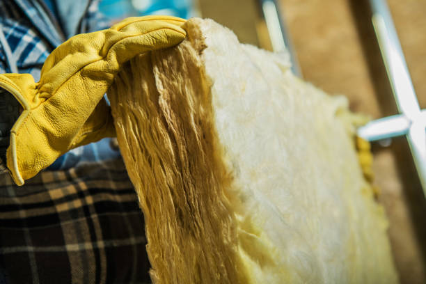 Best Eco-Friendly Insulation in Trinity, TX