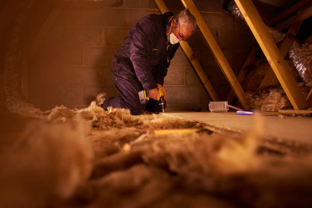 Best Blown-in Insulation in Trinity, TX