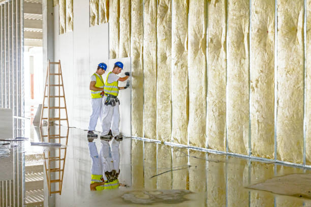 Types of Insulation We Offer in Trinity, TX